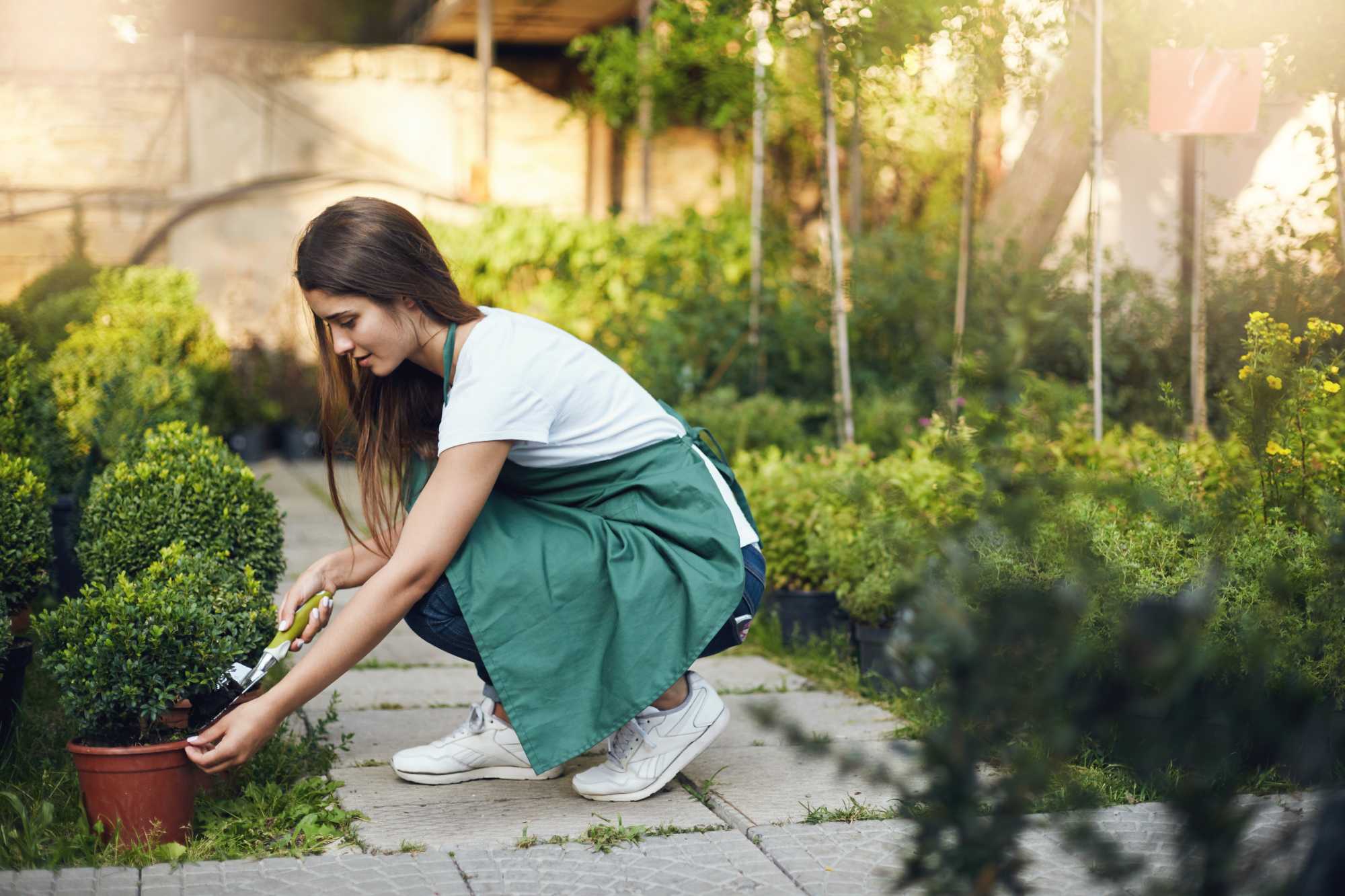 Gardener trimming shrubs and garden beds