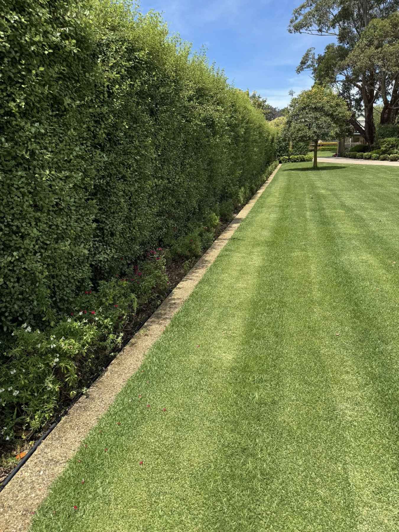 Landscaping & Garden Upgrades &mdash; Riptide Property Services