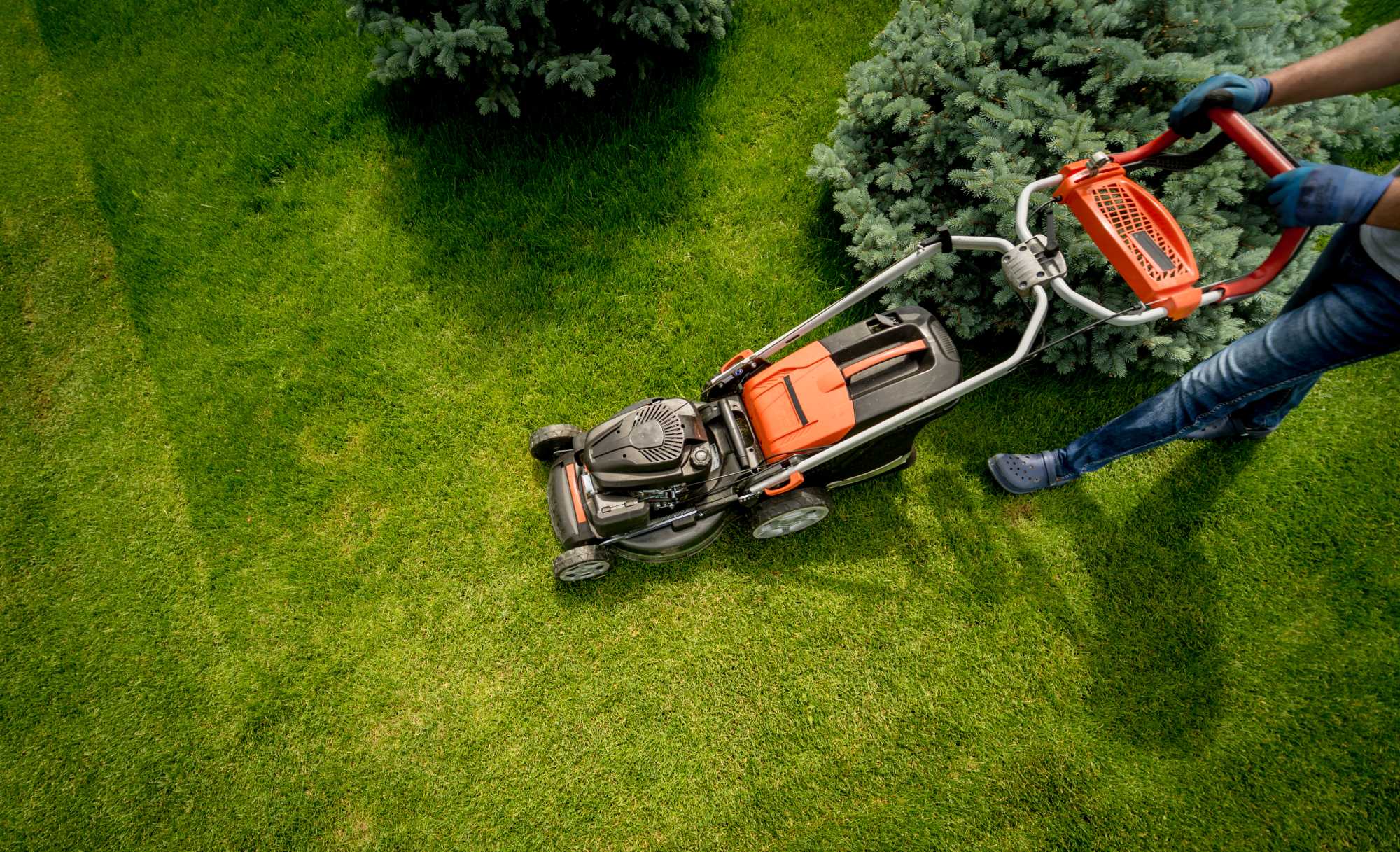 Lawn Care &mdash; Riptide Property Maintenance