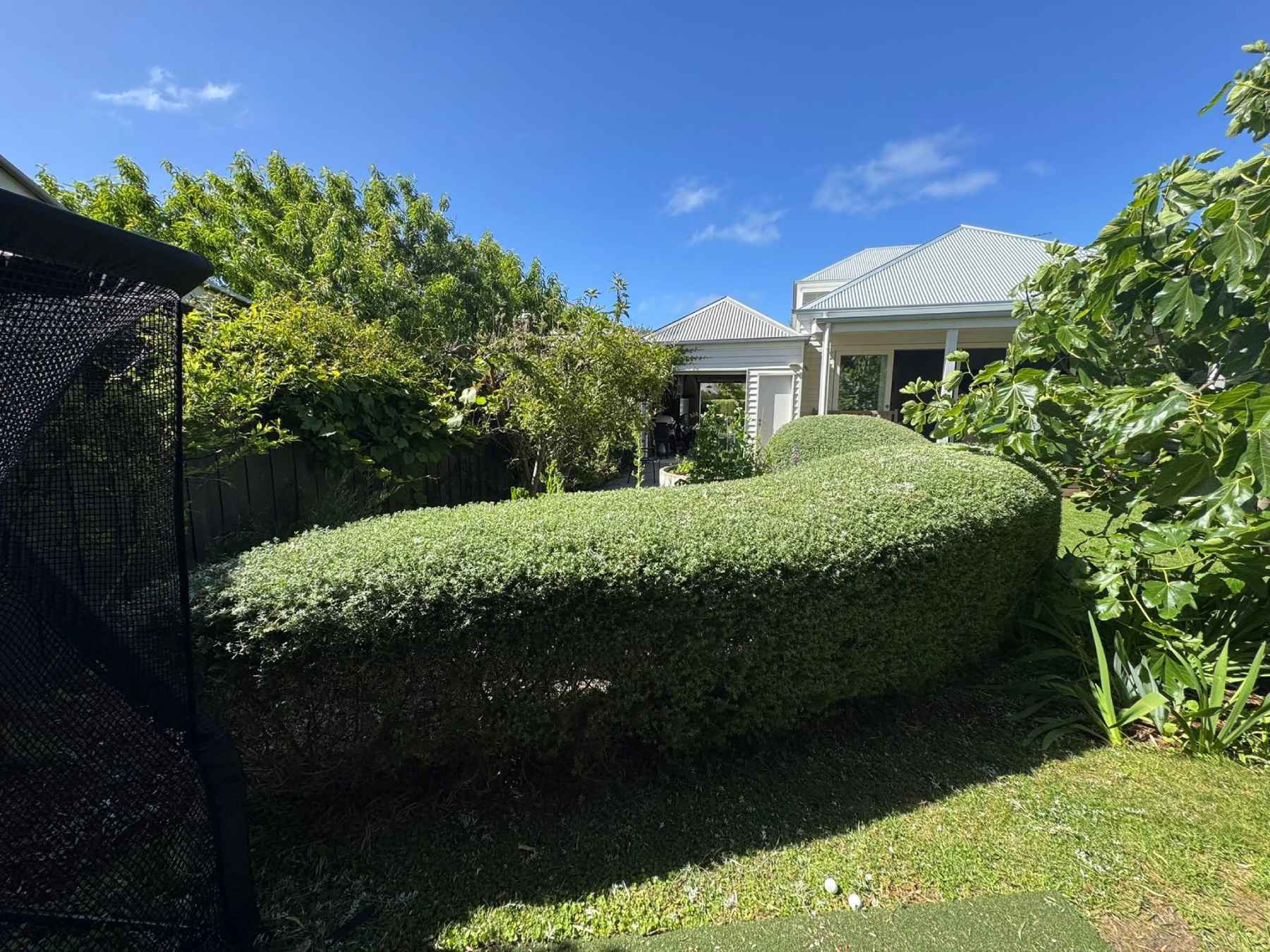 Overhead view of mowing a lawn beside garden beds