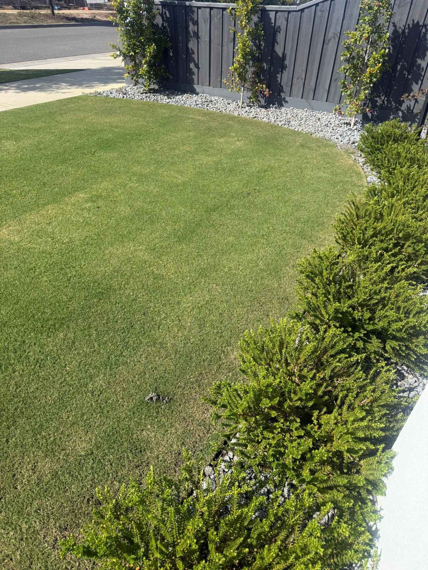 Lawn Care & Mowing &mdash; Riptide Property Services