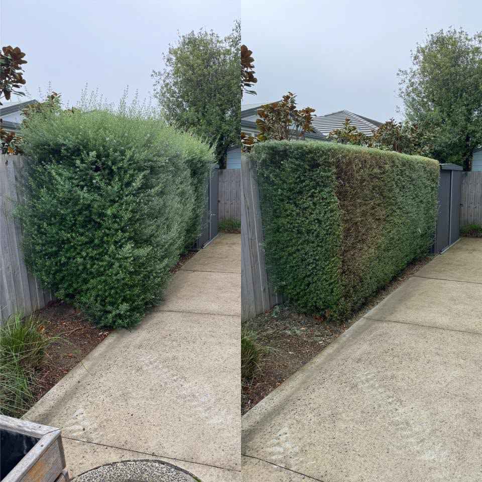 Gutter Cleaning &mdash; Riptide Property Services