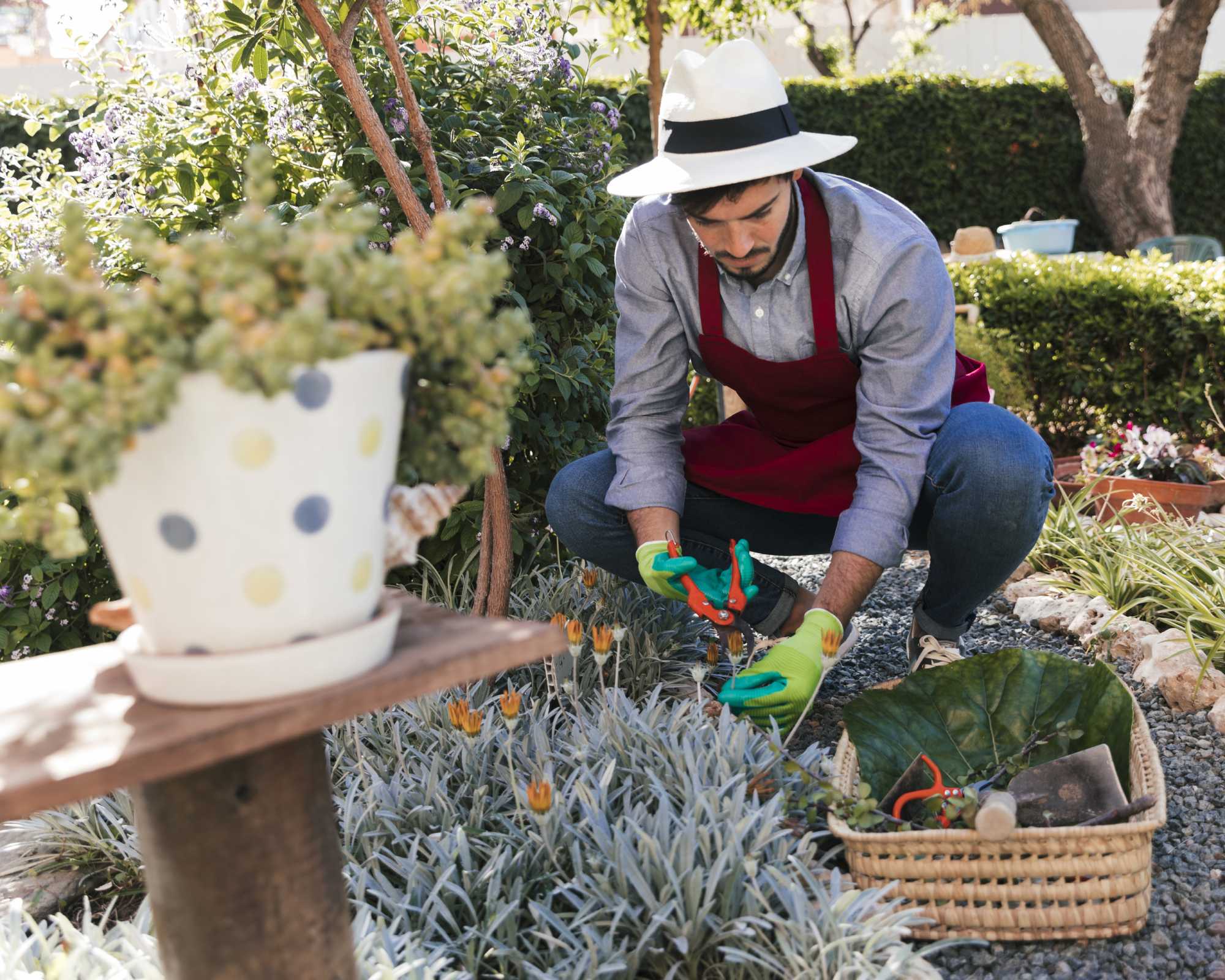 Garden Maintenance &mdash; Riptide Property Maintenance