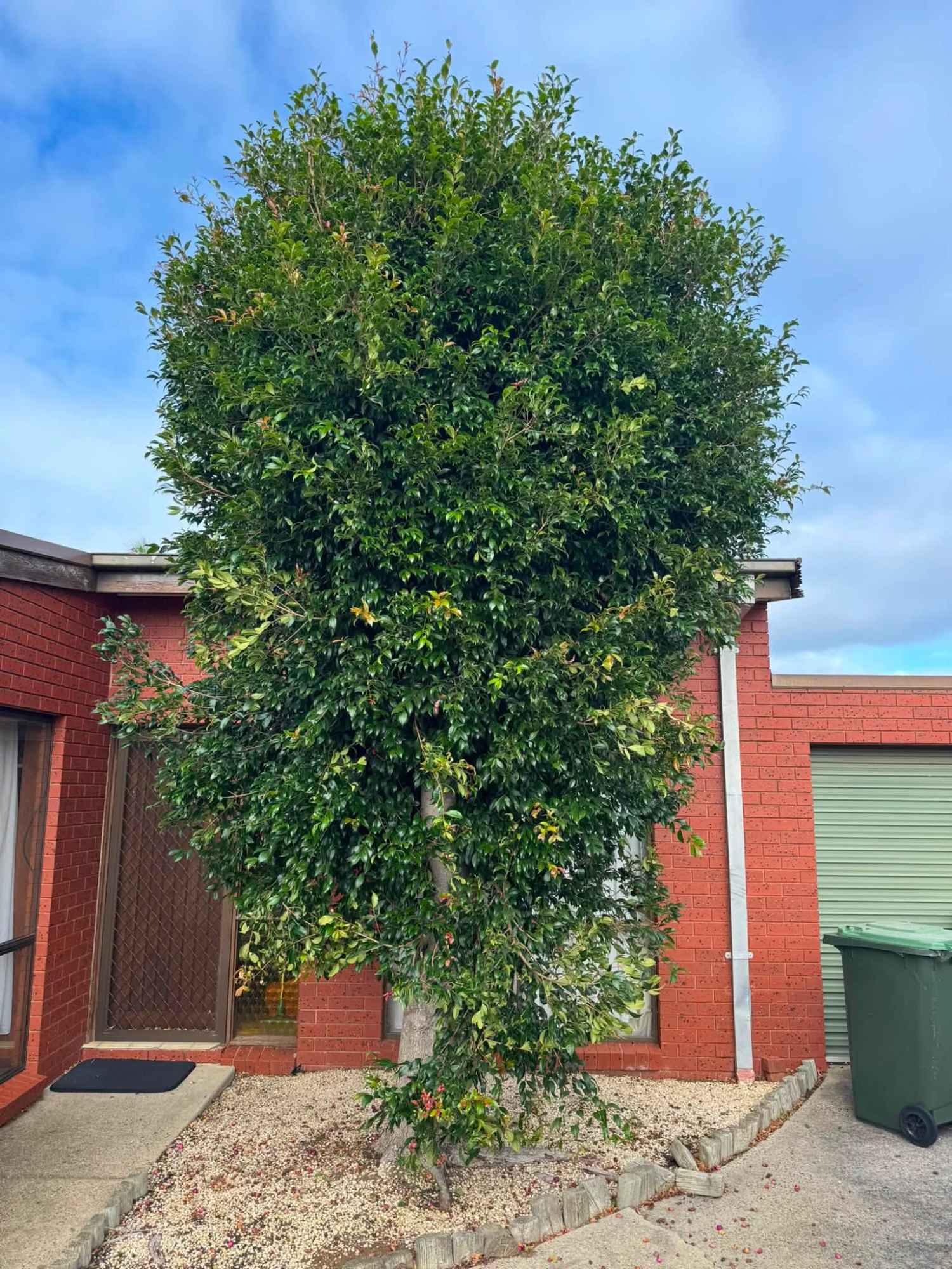 Decking & Outdoor Area Upgrades &mdash; Riptide Property Services