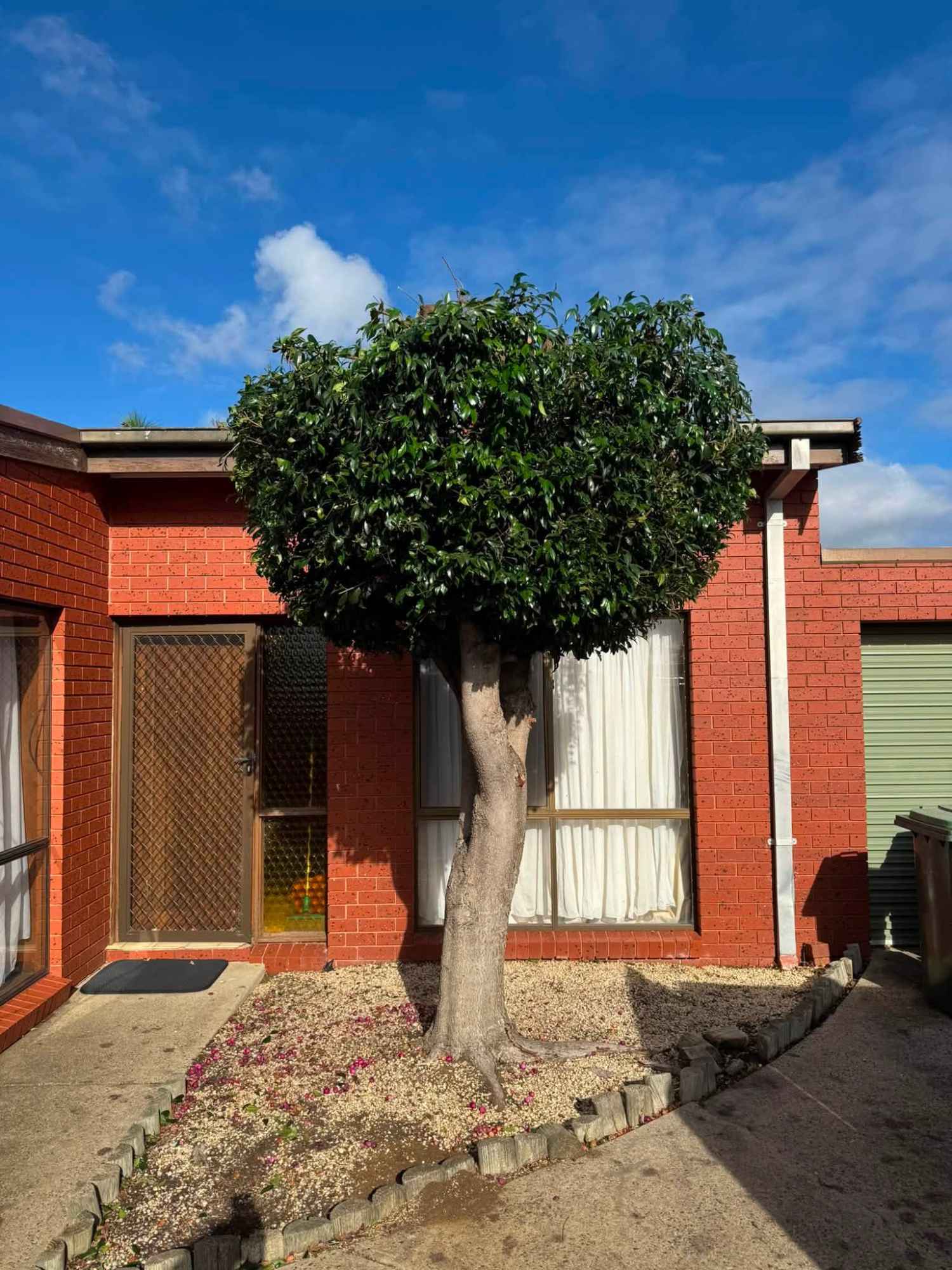 General Property Maintenance &mdash; Riptide Property Services