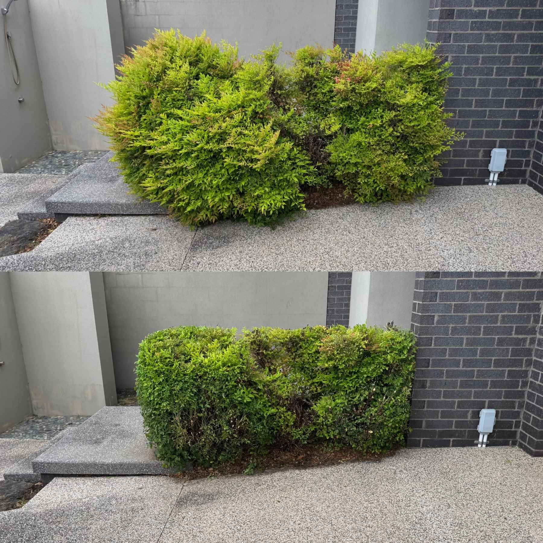 Fencing &mdash; Riptide Property Services