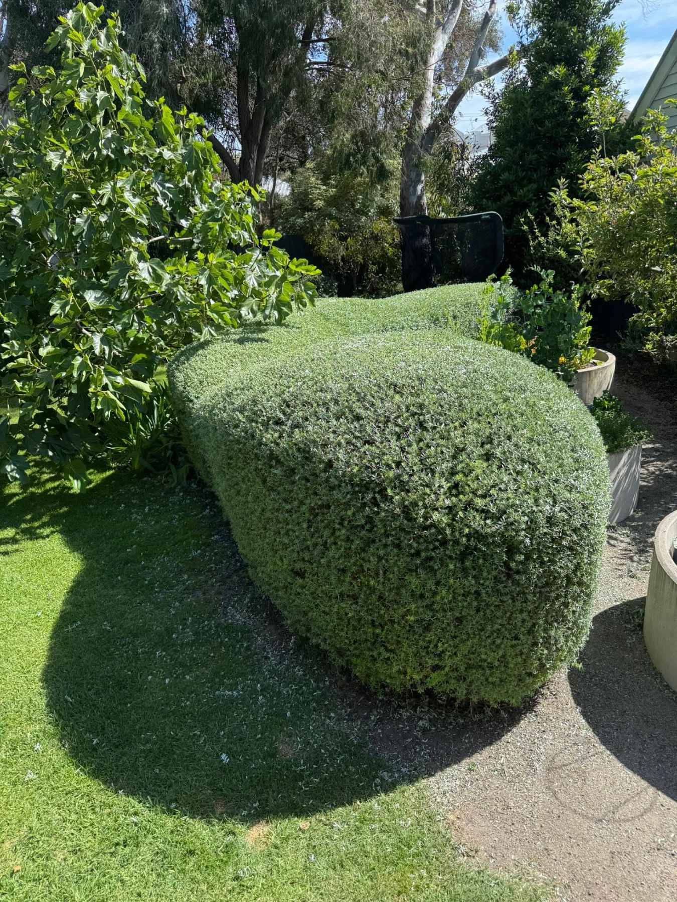 Landscaping & Garden Upgrades &mdash; Riptide Property Services