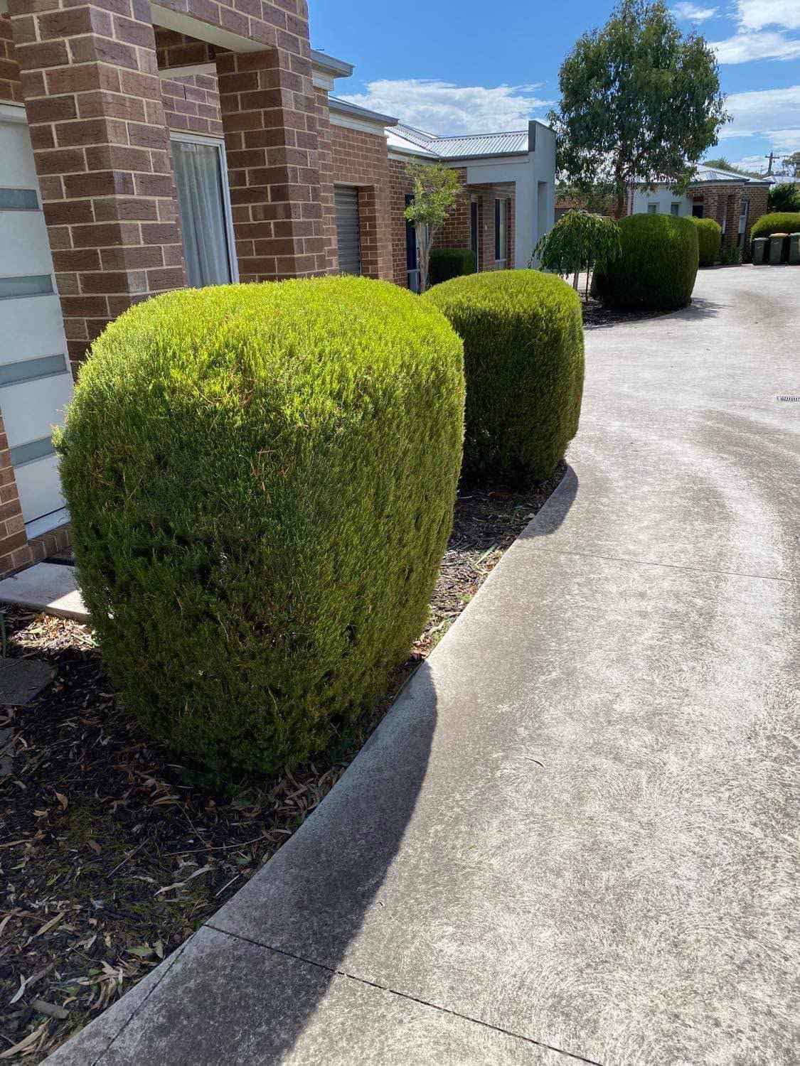 Gutter Cleaning &mdash; Riptide Property Services