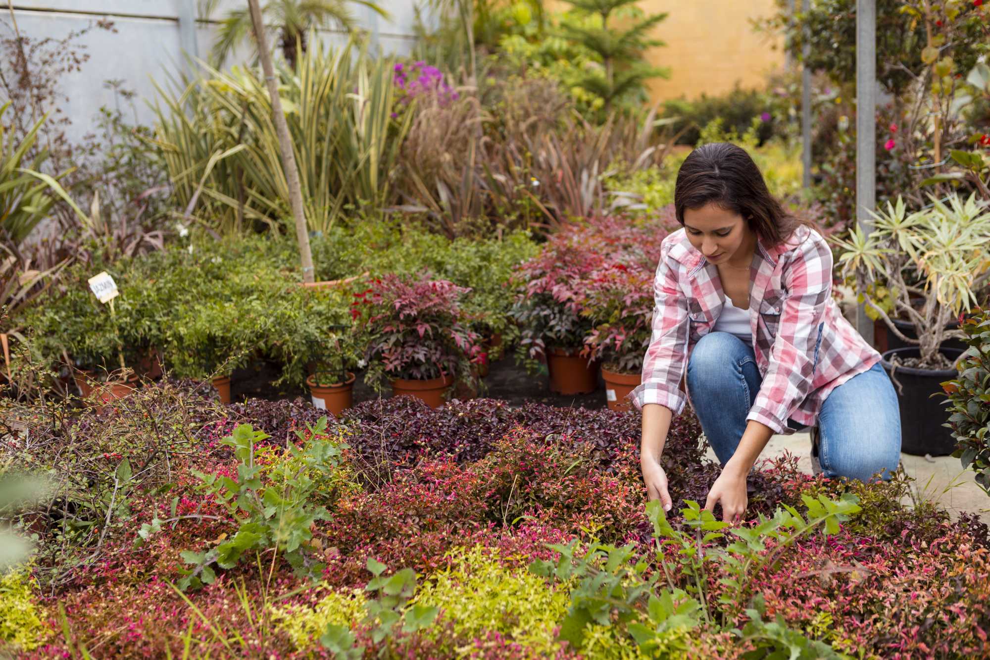 Garden Maintenance &mdash; Riptide Property Maintenance